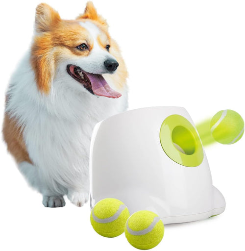 Automatic Dog Ball Launcher