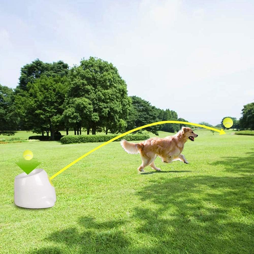 Automatic Dog Ball Launcher