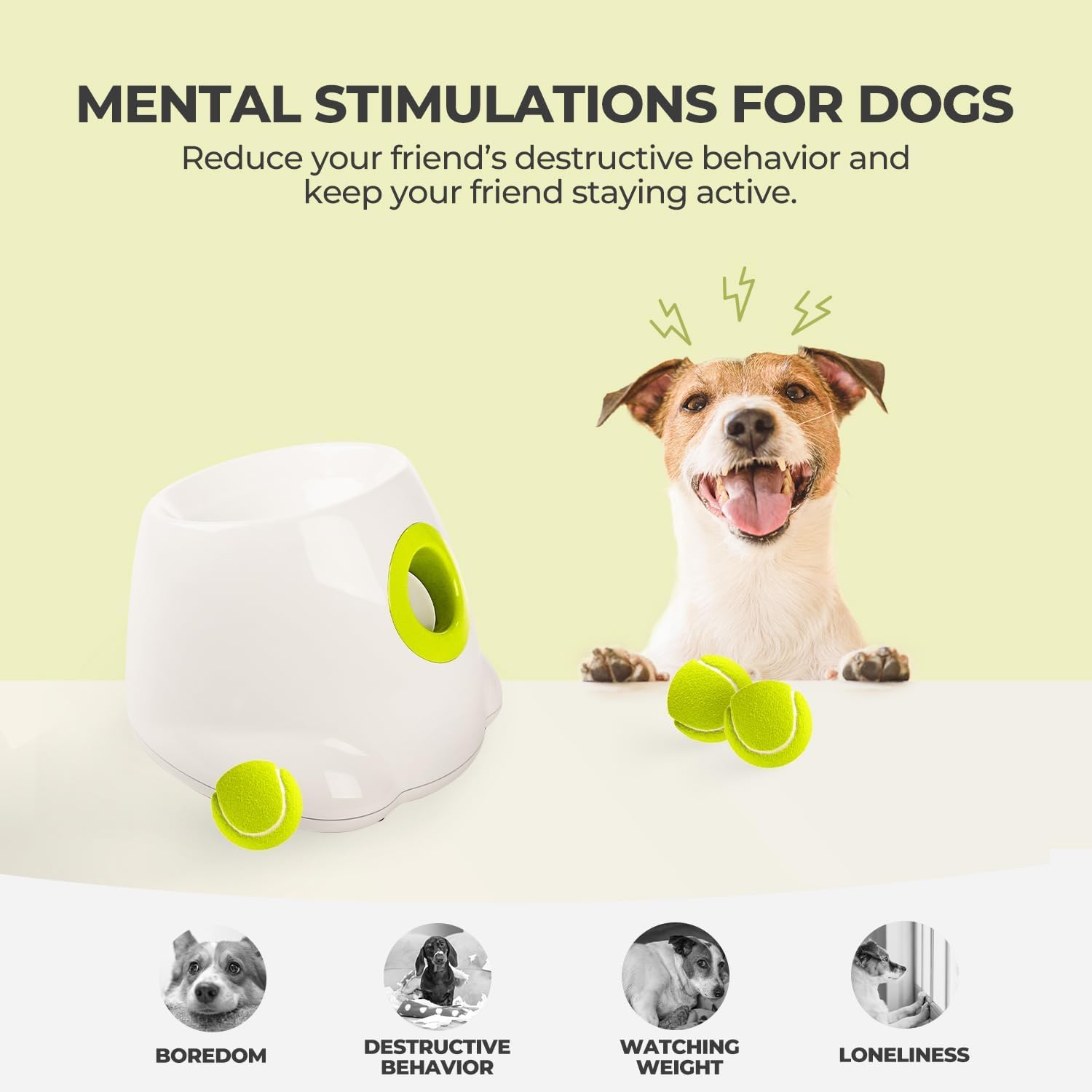 Automatic Dog Ball Launcher
