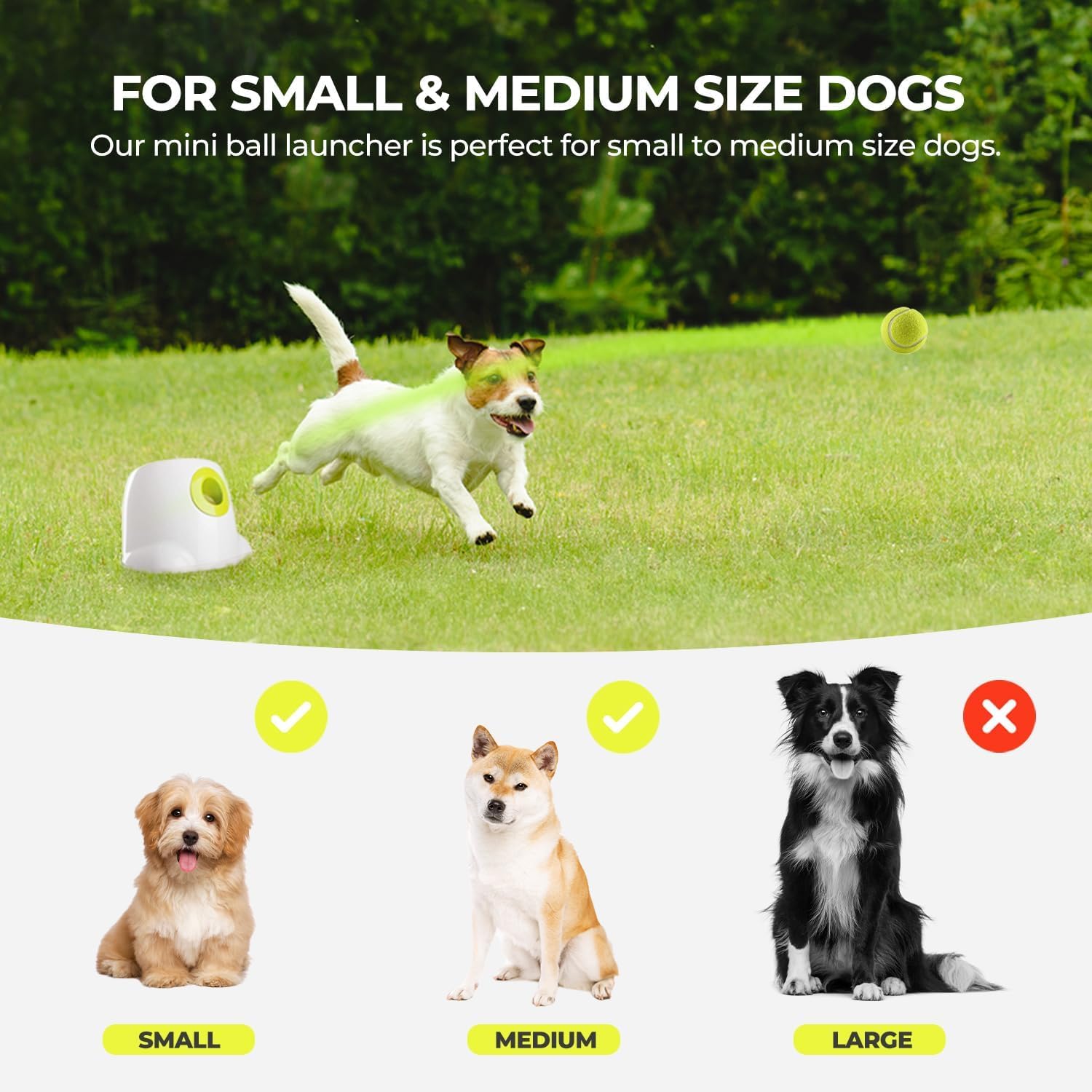 Automatic Dog Ball Launcher