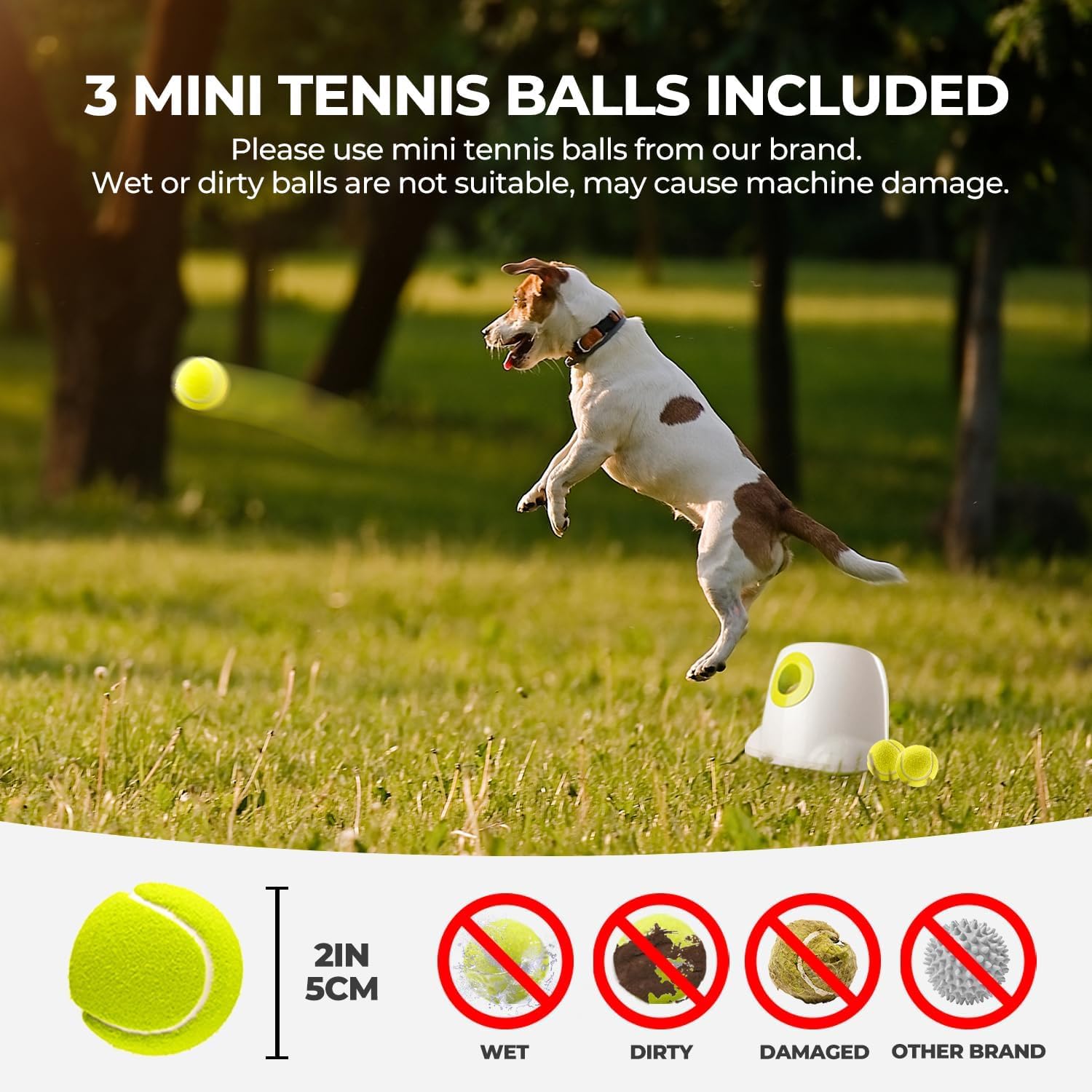Automatic Dog Ball Launcher