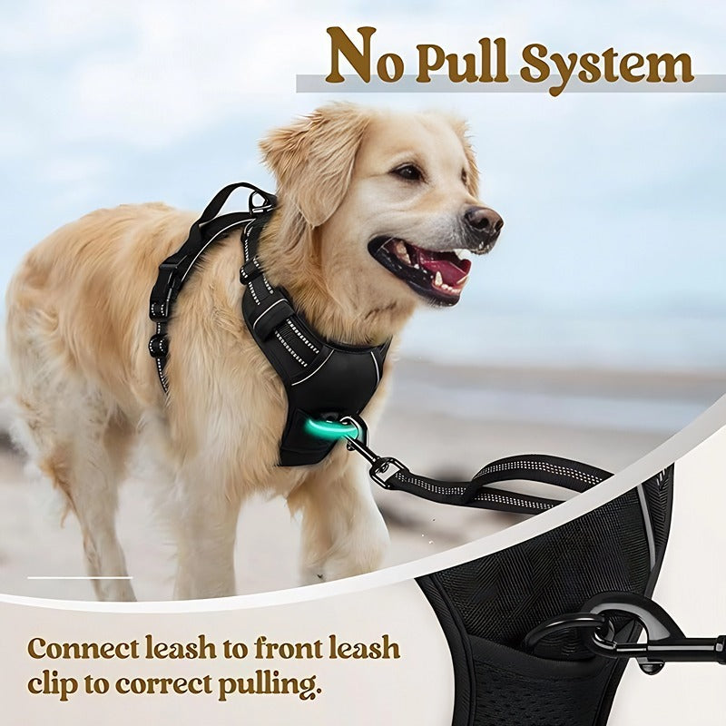 No Pull Dog Harness