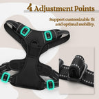 No Pull Dog Harness