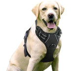 No Pull Dog Harness