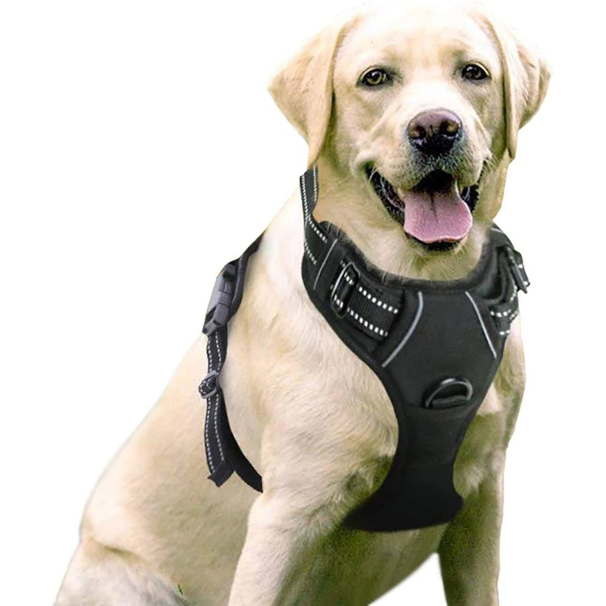 No Pull Dog Harness