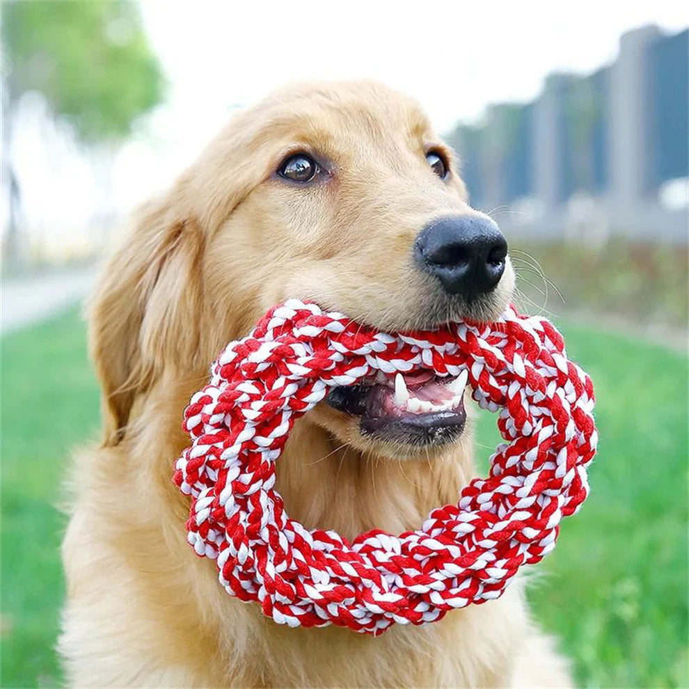 Bite-Resistant Molar Toy for Dogs